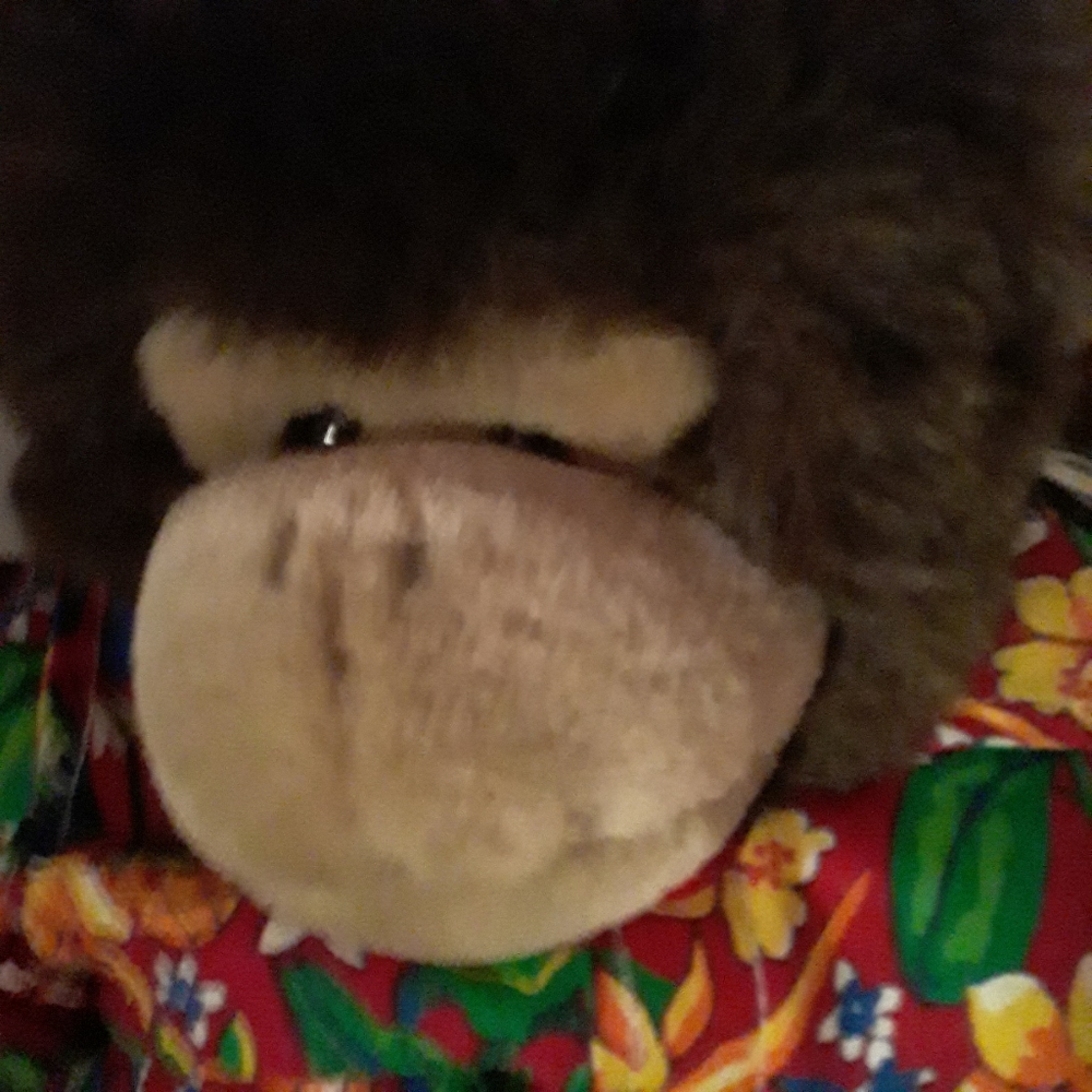 Build a Bear Monkey Wearing  Hawiian Outfot